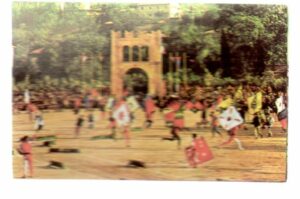 Figurina TUTTA ITALIA n.114 (Tradizioni e folclore) Ed. Fol-Bo