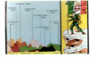 Figurina TUTTA ITALIA n.262 (Alpi giulie orientali) Ed. Fol-Bo