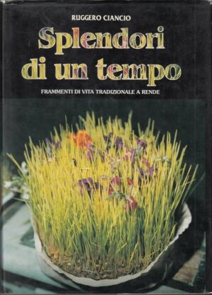 SPLENDORI DI UN TEMPO di Ruggero Ciancio ed. Tipo Lito Sistem