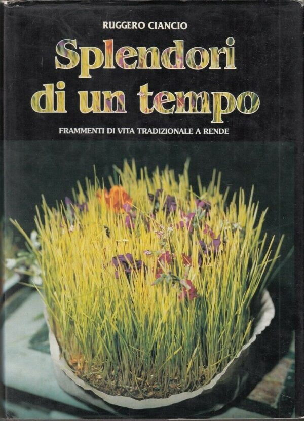 SPLENDORI-DI-UN-TEMPO-di-Ruggero-Ciancio-ed-Tipo-Lito-Sistem-113967881974
