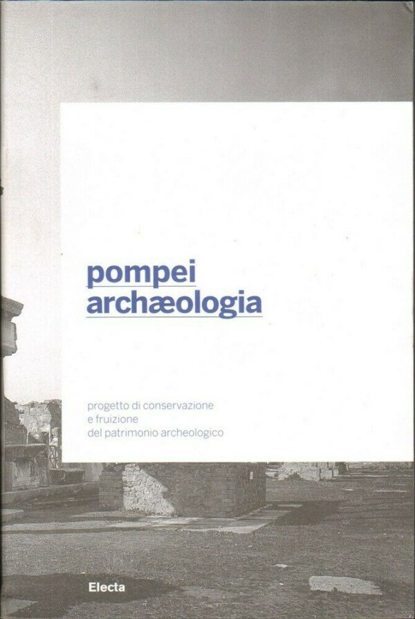 POMPEI-ARCHAEOLOGIA-Progetto-di-conservazione-e-fruizione-del-patrimonio-archeo-123966003635