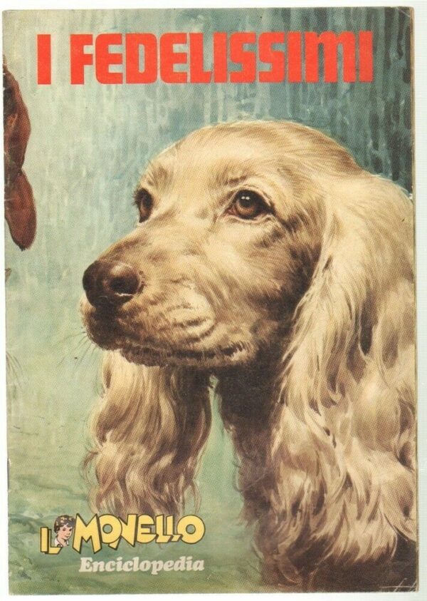 Album-Figurine-I-FEDELISSIMI-1971-Vuoto-Edizione-Il-Monello-113635603716