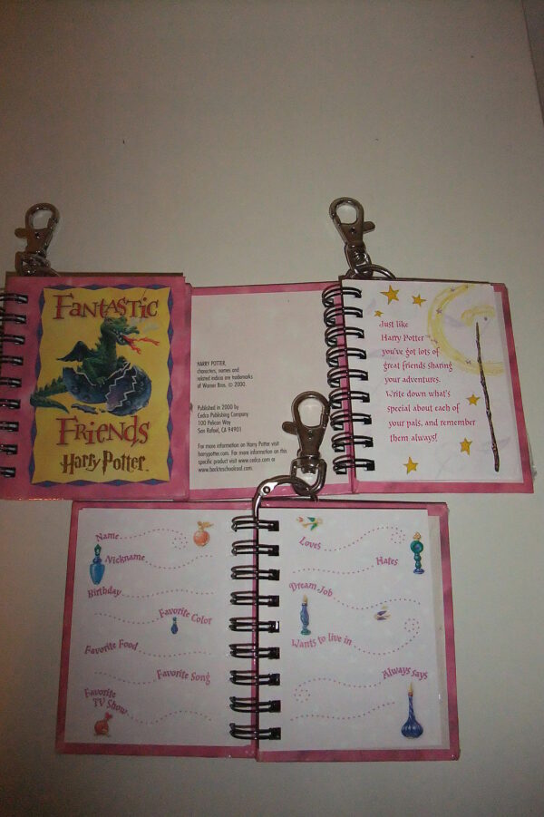 HARRY-POTTER-FANTASTIC-FRIENDS-mini-AGENDINA-MEMO-con-gancio-PORTACHIAVI-america-121722974506