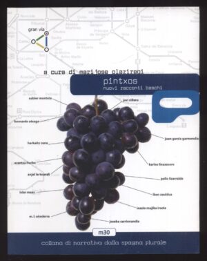 Pintxos - Nuovi racconti baschi a cura di Mari Jose Olaziregi ed. Gran Via