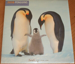 Calendar PENGUINS 2010 Aquarupella Calendar (Calendar in French) AA1