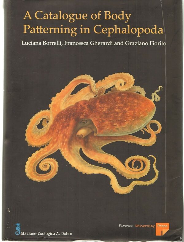 A-catalogue-of-body-patterning-in-Celophalopoda-Borrelli-Gherardi-Firenze-111572439539