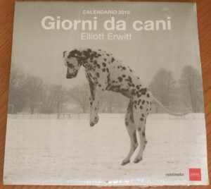 Calendario GIORNI DA CANI 2010 Calendar